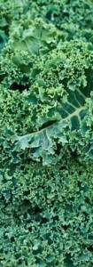 Kale anti inflammatory foods