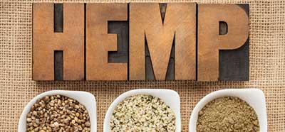 hemp seed benefits