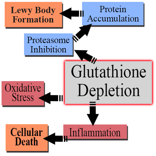 Glutathione-and-Parkinson's-Disease