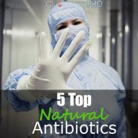 5-Top-Natural-Antibiotics
