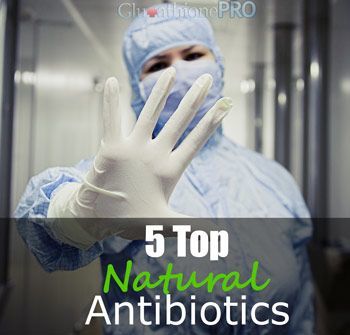 5-Top-Natural-Antibiotics