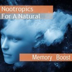 Nootropics-for-a-natural-memory-boost