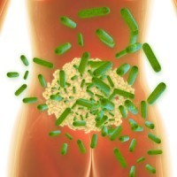 What-are-the-benefits-of-bacteria