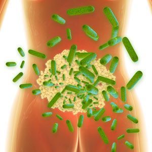 What-are-the-benefits-of-bacteria