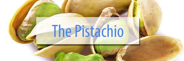 Pistachio-Protein-Snack