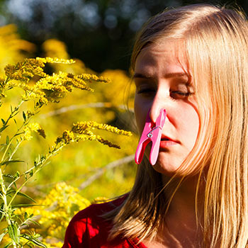Could-Probiotics-be-the-Cure-for-Seasonal-Allergies