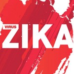 Zika-Virus-understanding